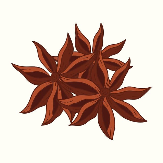 Star Aniseeds 1