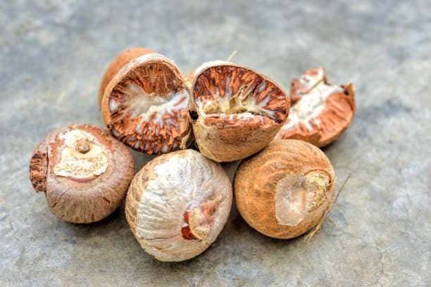 Areca Nuts 2