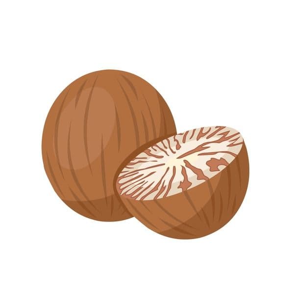 Areca Nuts 1