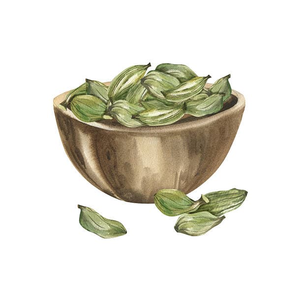 Cardamom 1