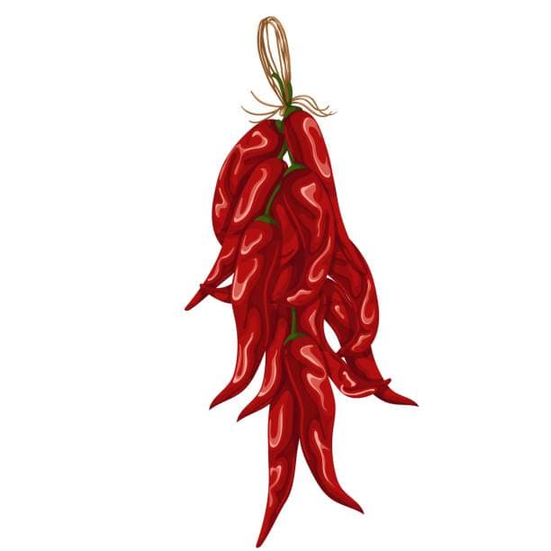 Dried Chillies 1