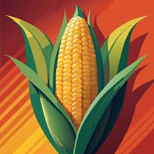 Maize 2