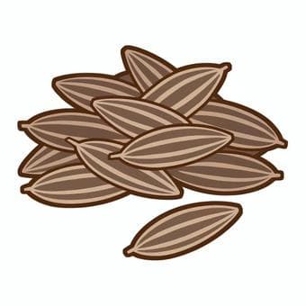 Cumin Seeds 2