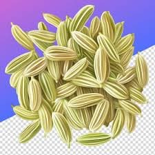 Fennel Seeds 1