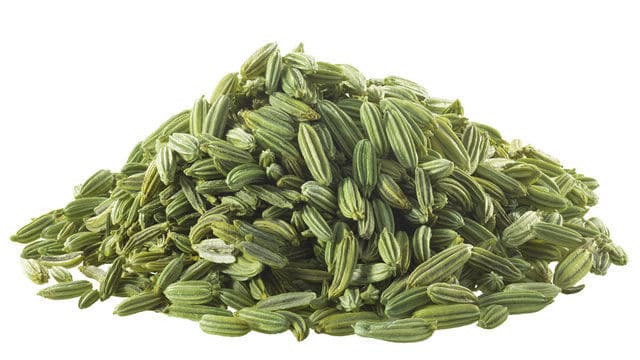 Fennel Seeds 2