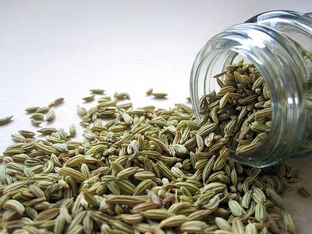 Fennel Seeds 3