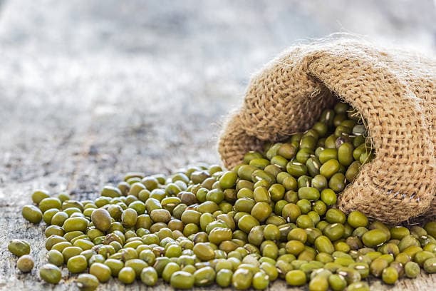 Green Mung Beans 3