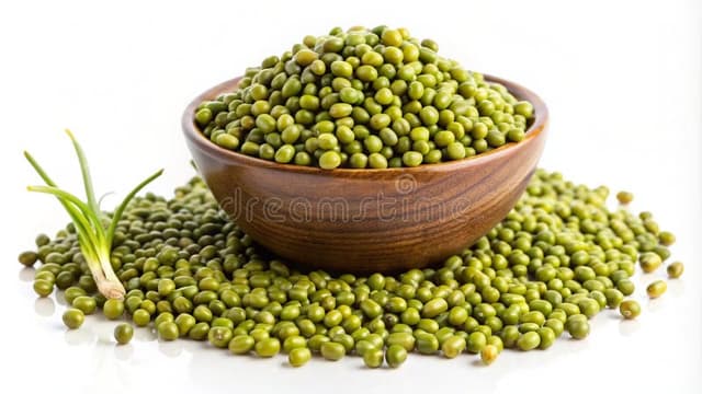 Green Mung Beans 4