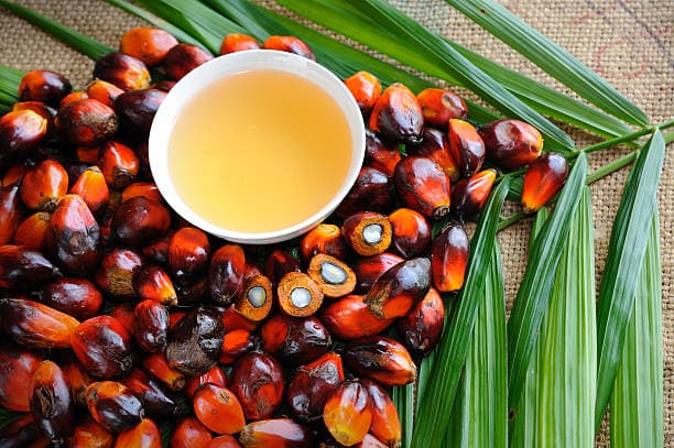 Palm Oil 1