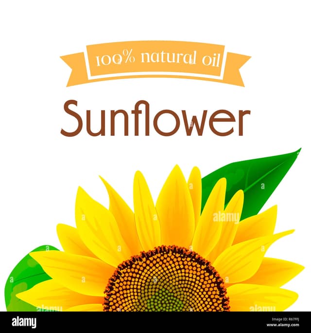 Sunflower Oil 2