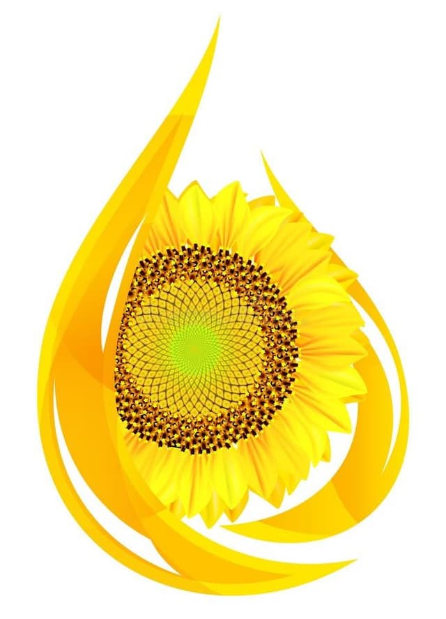 Sunflower Oil 4