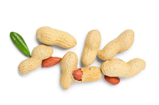 Groundnuts