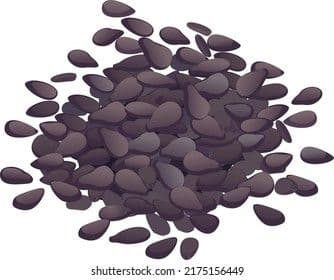 Sesame Seeds